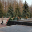 Магнитогорец бежит в Берлин через Курск - Курские Известия