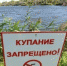 Купание на  диких  пляжах может закончиться не только штрафом, но и трагедией - ИА KurskCity
