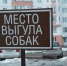 Почему куряне не убирают за своими питомцами отходы их жизнедеятельности - Курские Известия