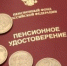 Более 90% россиян выступили против пенсионной реформы - ИА KurskCity