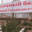 В Курских лесхозах заготовлено 13 тысяч лесных красавиц - Регион 46