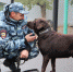 JPG Файл - УМВД Курской области