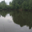 В Курской области водные объекты оснастят современной системой очистки - Курские Известия