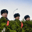 Полная программа праздничных мероприятий ко Дню освобождения Курска от немецко-фашистских захватчиков - Курские Известия