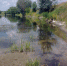 Курянам объяснили, почему в Сейме упал уровень воды - Курская правда