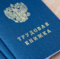 Куряне, потерявшие работу, отказываются от подработок - Регион 46