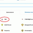 Электронные сервисы позволяют получить информацию об остатке средств материнского капитала - ПФРФ