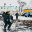 Куряне могут подать заявку на снос аварийных деревьев - Курская правда