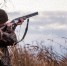 За четыре дня полторы тысячи курян получили разрешение на охоту на птиц - Курская правда