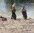 В Курской области на берегу реки Сейм убрали мусор в рамках акции «Вода России» - ТРК Сейм