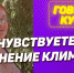Куряне почувствовали изменение климата - Курские Известия