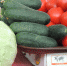 Золотухинские единороссы контролируют цены на продукты «борщевого набора» - Единая Россия