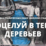 В Курске состоится выставка графических работ «Поцелуй в тени деревьев» - Сетевое издание Мой Курск