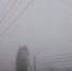 В Курской области стоит ожидать заморозки и туман - KurskWeb.Ru