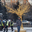 В Курске осужденные убирают снег на улицах города - Сетевое издание Мой Курск