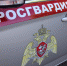 В Курске сотрудники вневедомственной охраны задержали подозреваемых в хищении тепловой изоляции - Росгвардия