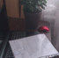 В Курской области мошенники от имени УМВД предлагают антивирус - Курские Известия