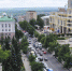 Откуда взялись куропатки на гербе Курска - Курская правда
