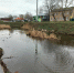 В Курске на этой неделе приступят к расчистке Тускари на Утином острове - Sekunda.Media