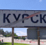 Воронежские волонтеры спасли умирающего пса из Курской области - Курские Известия