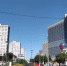 Куряне победили в окружном этапе Всероссийского хорового фестиваля в Москве - Курские Известия