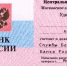 Курянка распознала телефонных мошенников по липовому удостоверению - Городские Известия