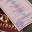 В Курске 22 ноября расписались 60 молодожёнов - Курская правда