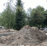 В Курске в 2023 году благоустроят 6 парков и 30 дворов - Курские Известия