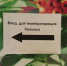 В Курской области в 2023 году выявлено 3 случая кори у взрослых - Курские Известия