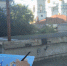 В 2022 году при поддержке комитетом культуры города был дан старт новому  творческому арт-проекту «Курск – глазами молодых художников» - Город Курск
