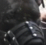 В Курске зооволонтеры выкупили питбуля за 2 бутылки водки - Курские Известия