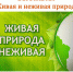 В Курске 12 октября открывается выставка «Живая и неживая природа» - ТРК Сейм