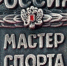 Курские спортсмены - мастера спорта России - KurskTV.Ru