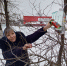 #ЗЖ_эстафету_приняла #покормитептиц - Газета Золотухинская жизнь