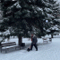 В Курске 6 января 48 человек чистит парки и скверы - ТРК Сейм