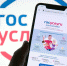 Функционал портала «Госуслуги» за год расширился до 300 млн услуг - Газета Сельская новь