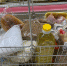 Волонтерам нужны продукты на обед для бездомных в Курске - Курские Известия