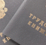 В Курской области более 90 тысяч жителей перешли на электронную трудовую книжку - Курские Известия