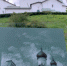 В Курске пройдет выставка графики «Родные мотивы» - Курская правда
