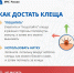 Жителям Курска напомнили порядок действий при укусе клеща - ТРК Сейм