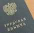 В Курской области прошла региональная ярмарка трудоустройства - KurskTV.Ru