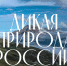Сайт «Дикая природа России» - Заповедник им. профессора В.В. Алехина