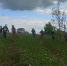 В Щигровском районе высадили более 2 тысяч сеянцев дуба - Sekunda.Media