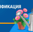 Подать заявление на газификацию садоводческого товарищества можно в МФЦ Курской области - Администрация области