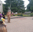 IMG 20240705 WA0022 - Федерация организаций профсоюзов