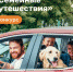 Минэкономразвития запустило конкурс «Семейные путешествия» о поездках по РФ - Комитет по делам молодежи и туризму