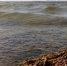В Курской области временно ограничена рыбалка на Курчатовском водохранилище - ТК ТАКТ
