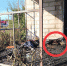 В Курской области из-за банки с водой сгорел первый этаж дачного дома - ТРК Сейм
