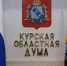 «Звёзды» - под контроль государства - Областная Дума