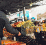 Товаропроизводители привезли 157 тонн продукции на ярмарку «Осень-2024» в Курске - ТРК Сейм
